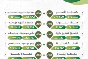 التقرير السنوي للبرامج والانشطة المفصل عن القوائم المالية 2024